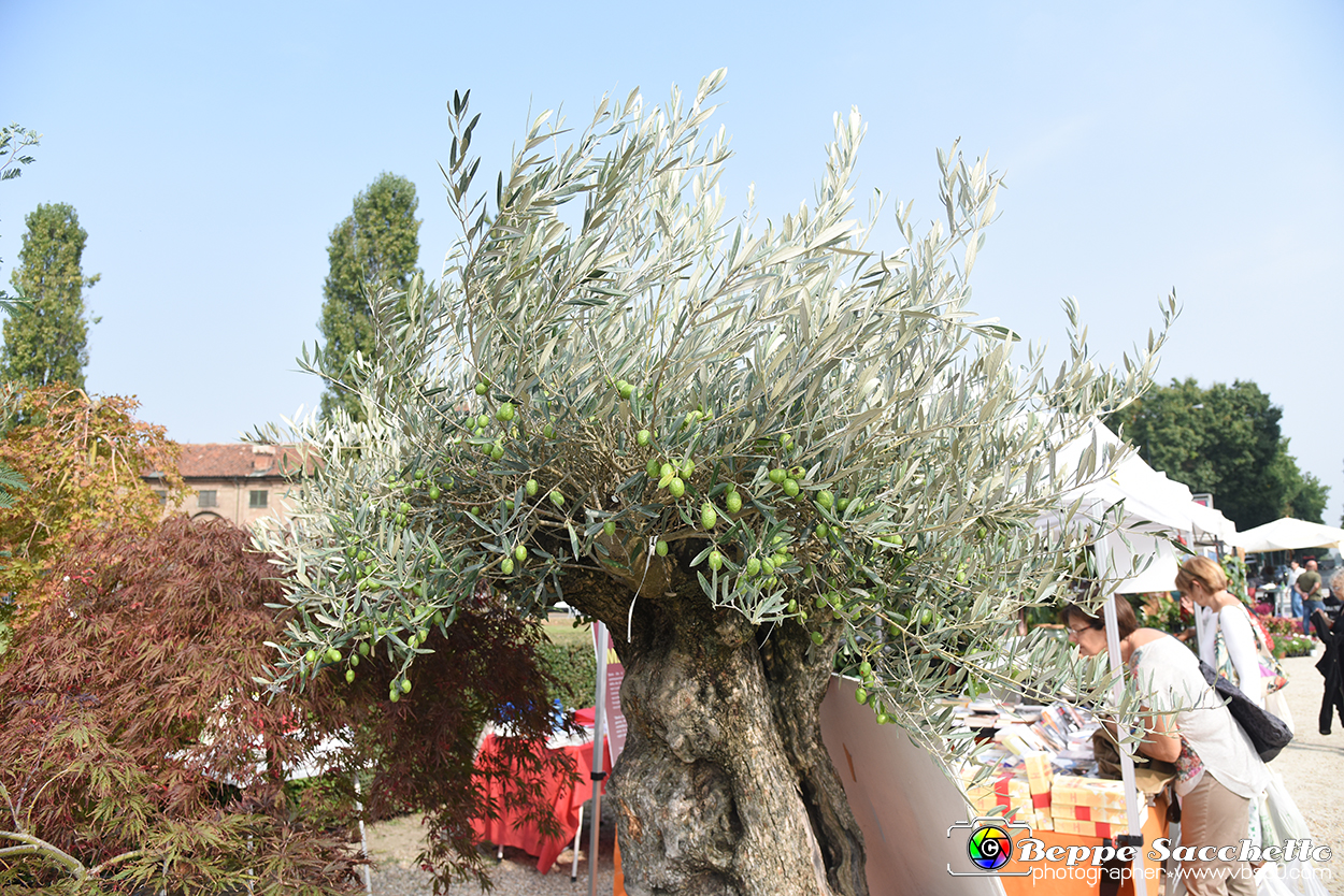 VBS_3721 - Floreal 2023 - Vivere con le piante.jpg